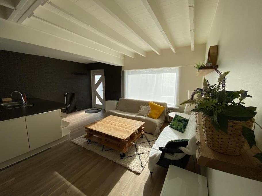 Cosy Beachhouse Within Walking Distance Of The Sea Villa เดอฮาน ภายนอก รูปภาพ
